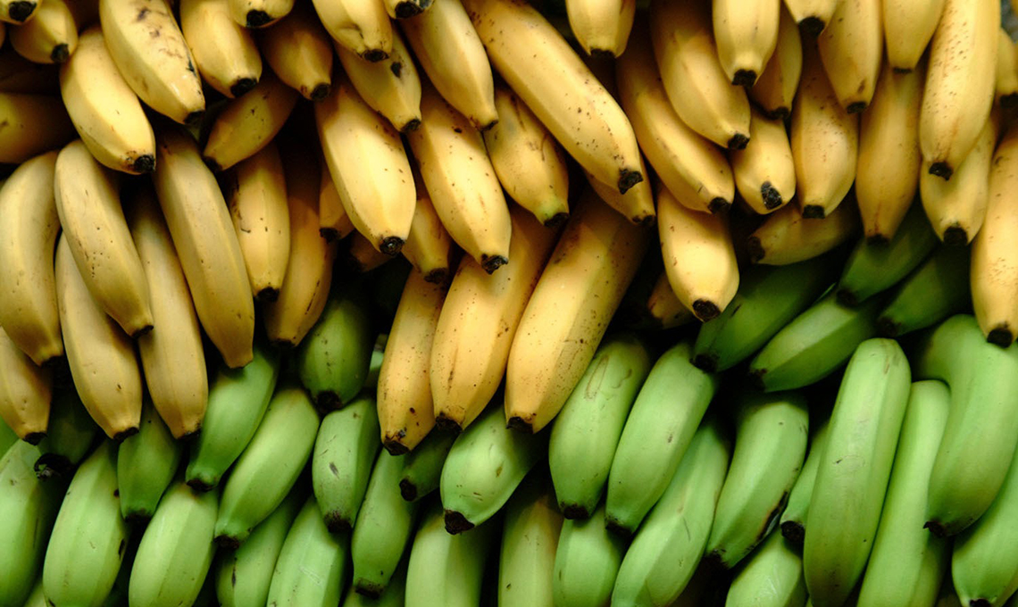 Banana-Bioplastic