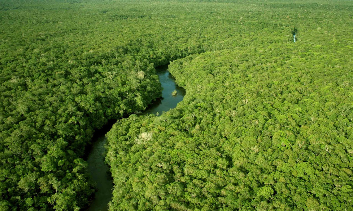 Foto: Divulgação/ICMBio