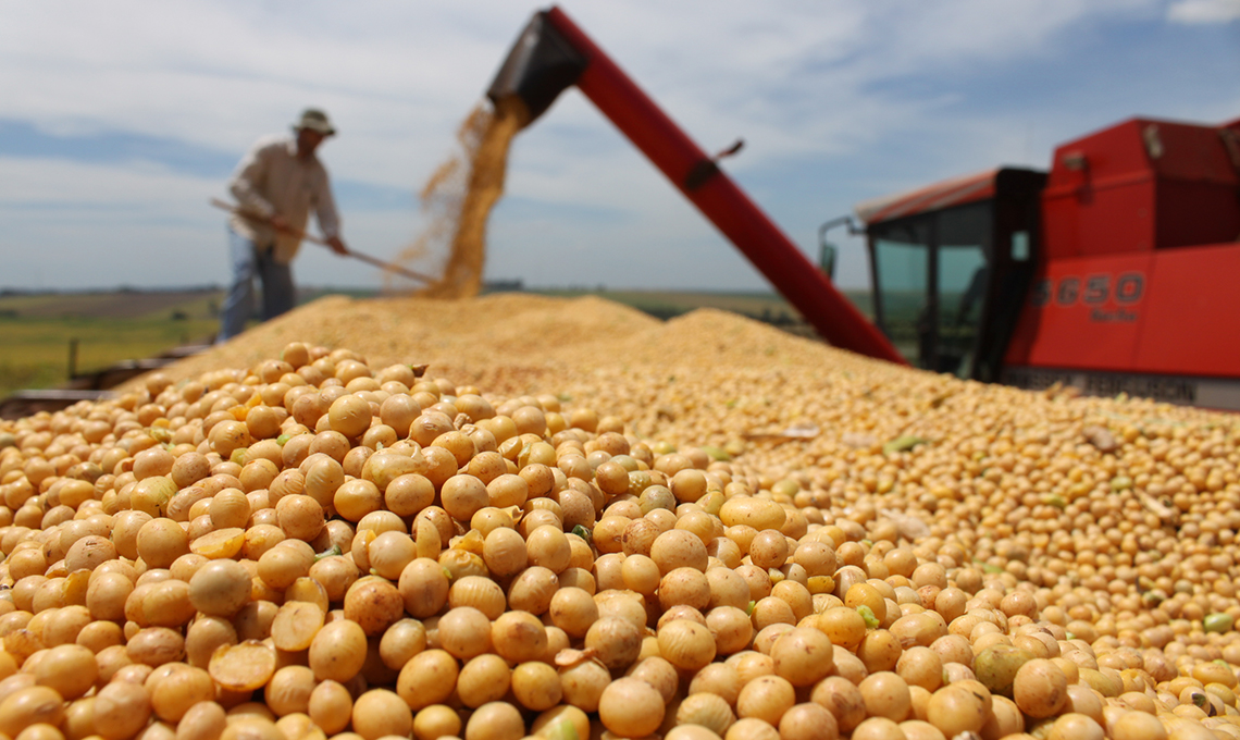 Foto: Governo do Maranhão/Ascom