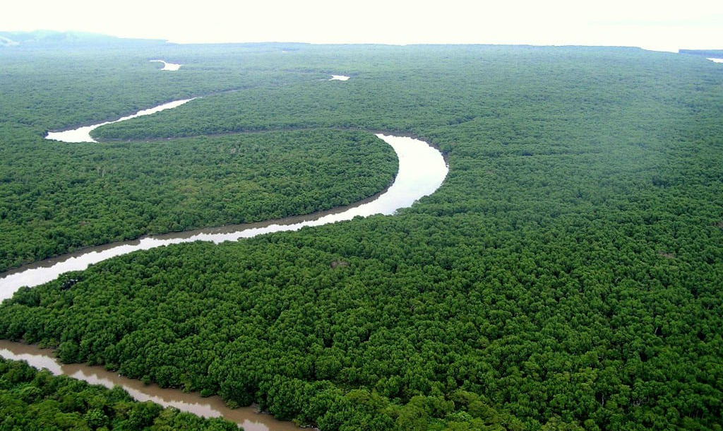 Foto: Divulgação/ICMBio