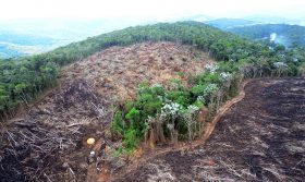 Revista online | 10 anos do Código Florestal: retrocessos e pouco a comemorar 