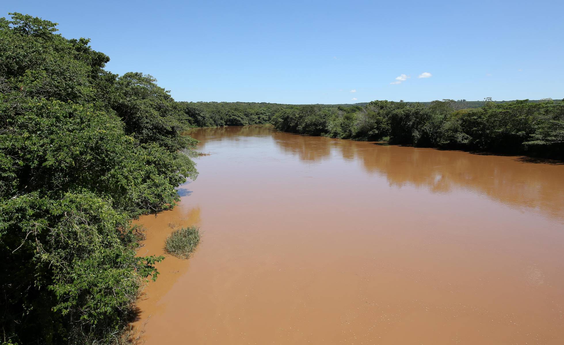 Foto: Leo Barrilari/SOS Mata Atlântica