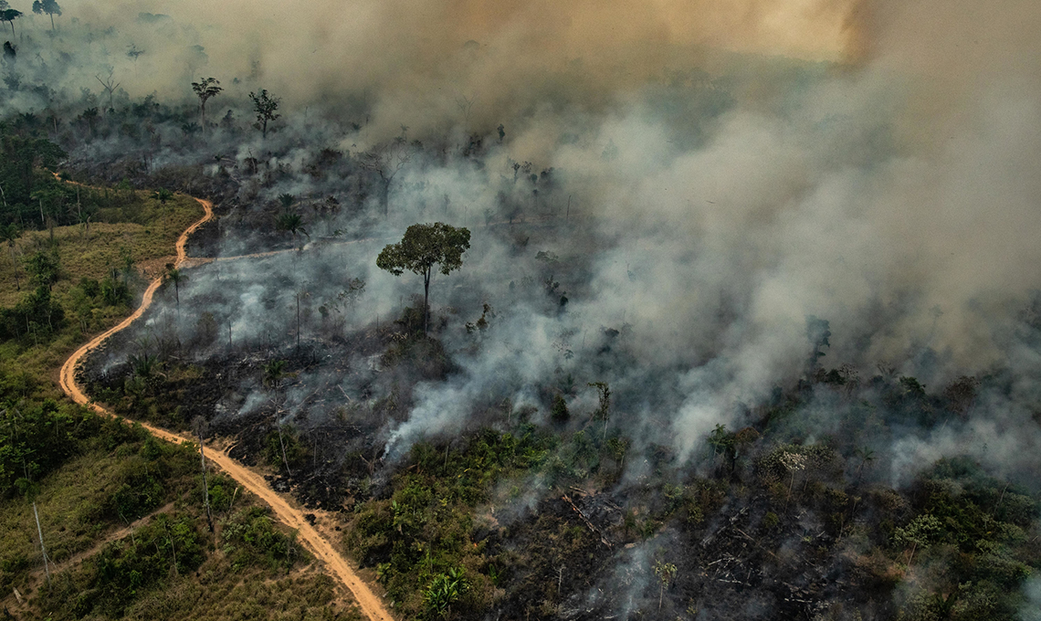 Forest Fires in Amazon (2019)Queimadas na Amazônia (2019)