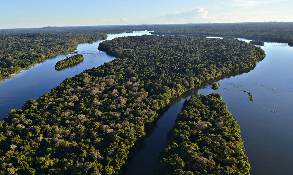 Foto: Adriano Gambarini/WWF-Brasil