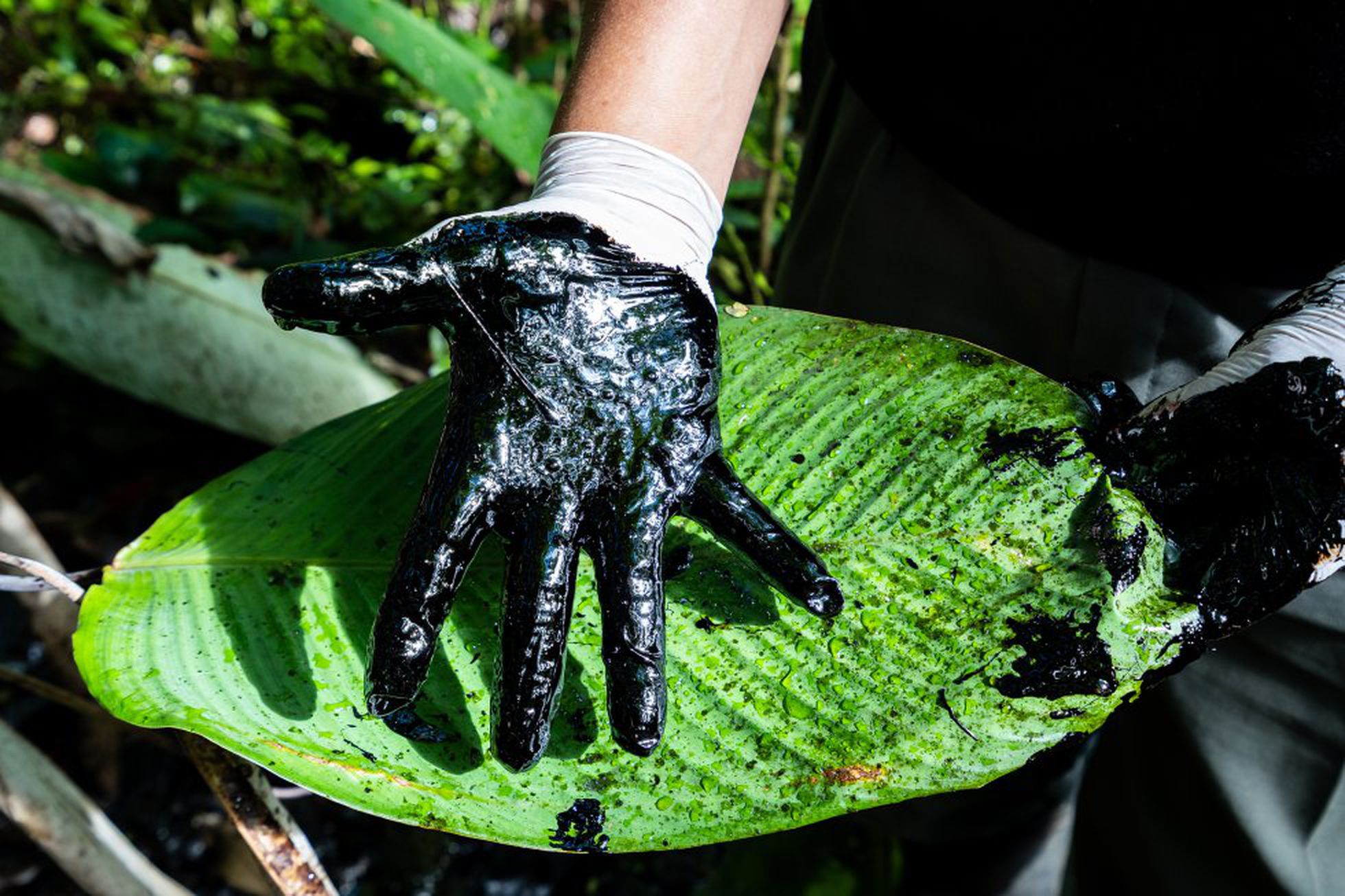 Mão manchada de petróleo: parte do tour que tem como objetivo mostrar aos visitantes os enormes danos que empresas petrolíferas causaram ​​ao meio ambiente. Foto: Giamarco di Costanzo/El País