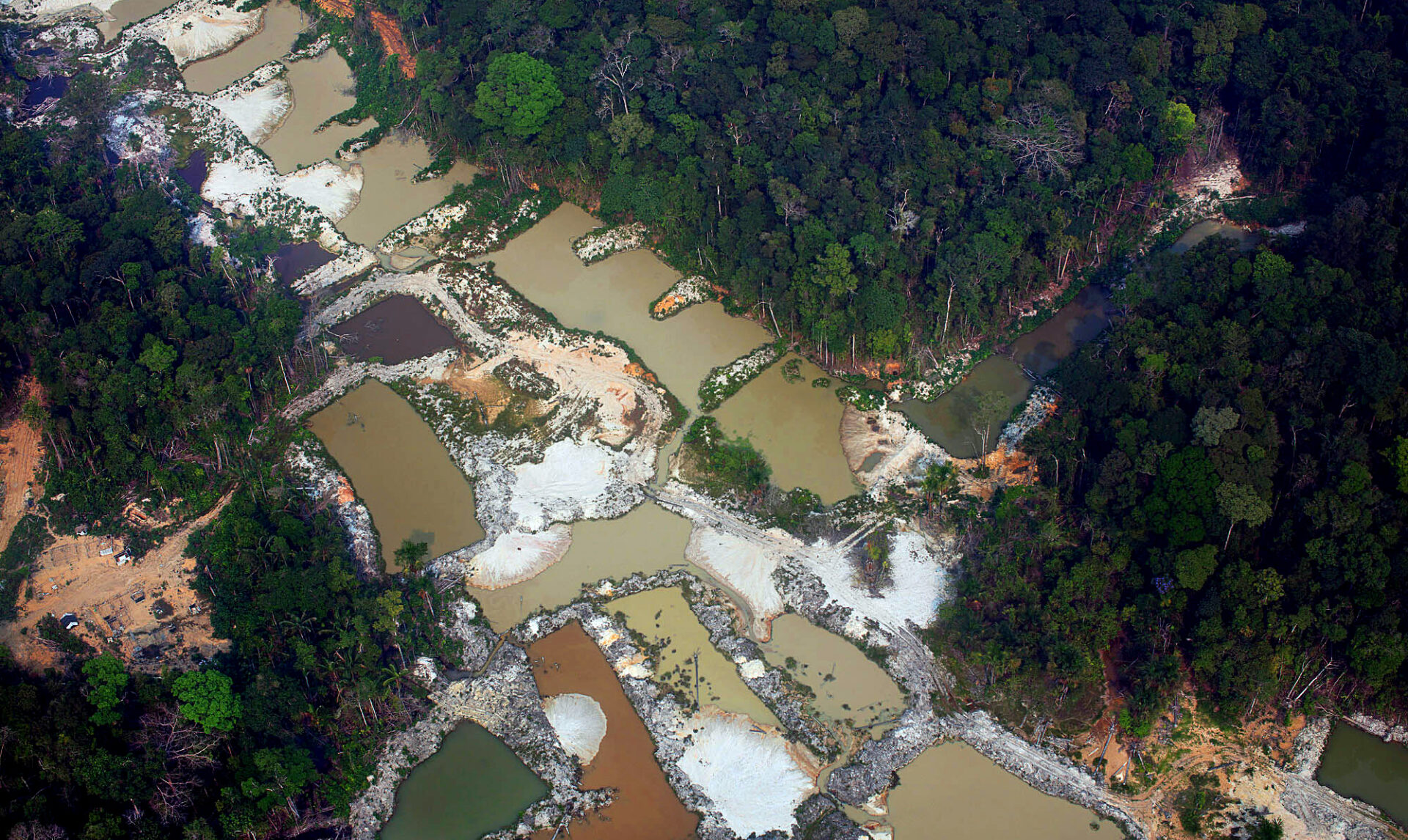 Foto: Marizilda Cruppe/Amazônia Real/Watch