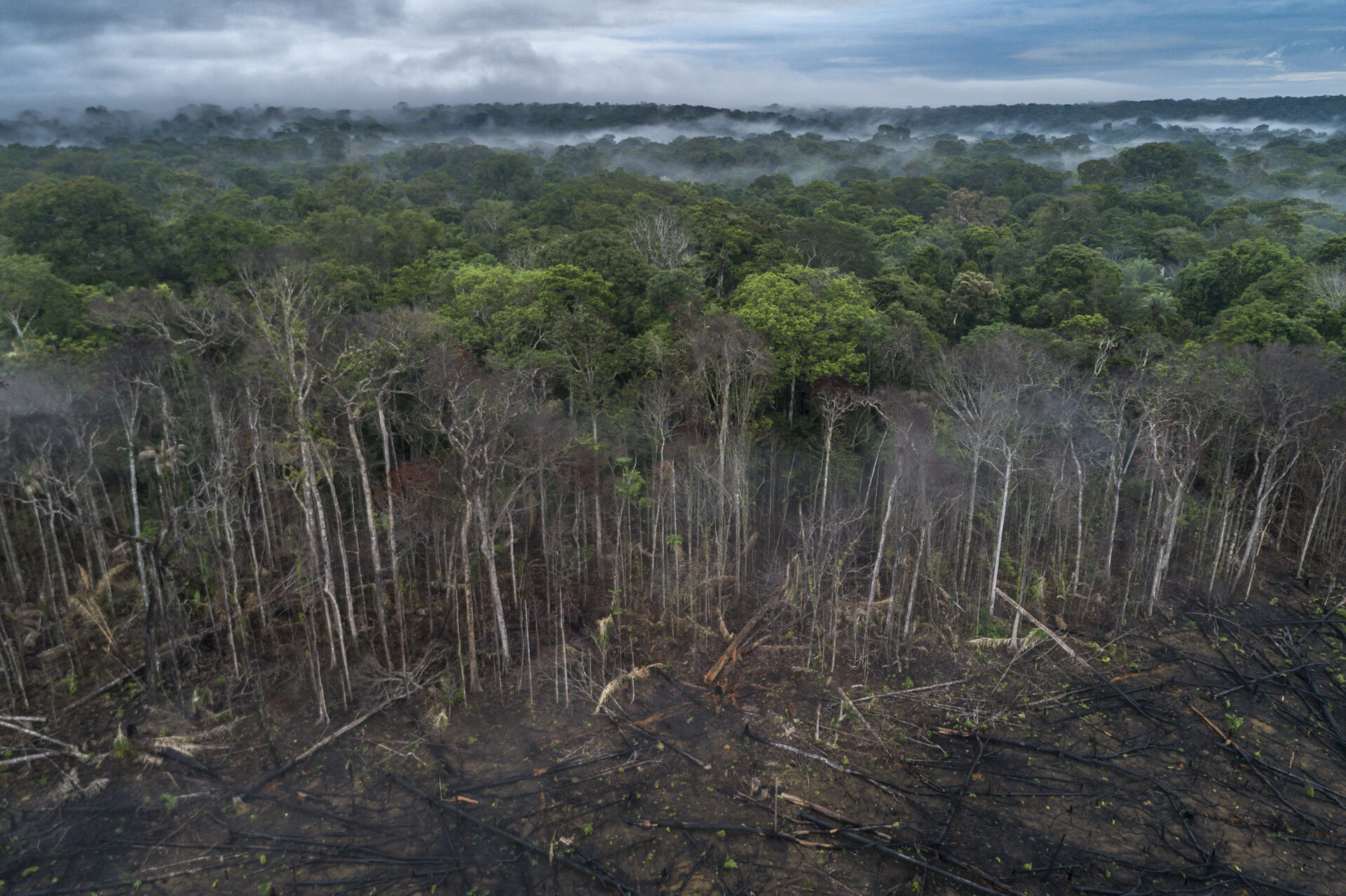 Foto: Andre Dib / WWF-Brasil