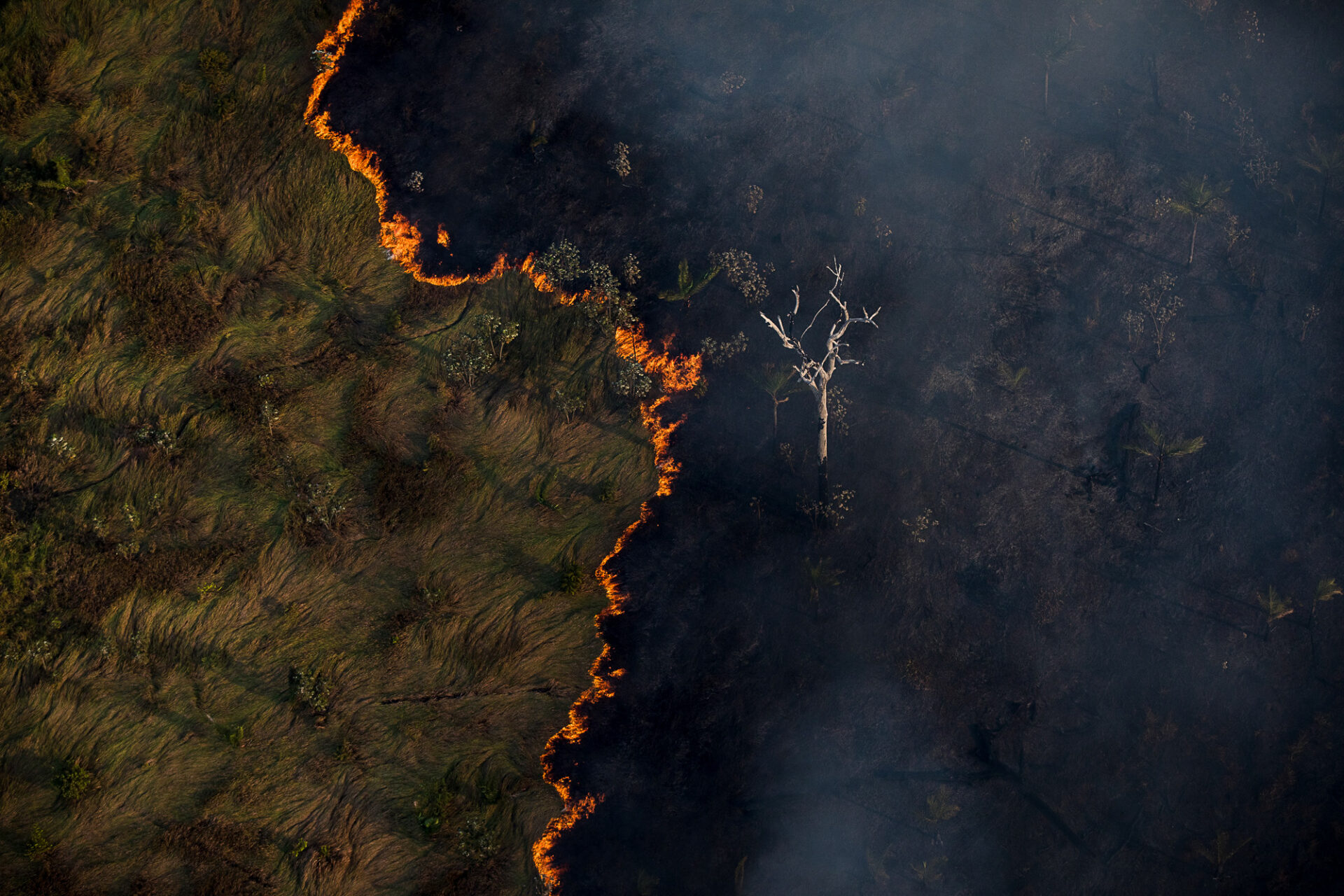 Foto: Bruno Kelly/Amazonia Real