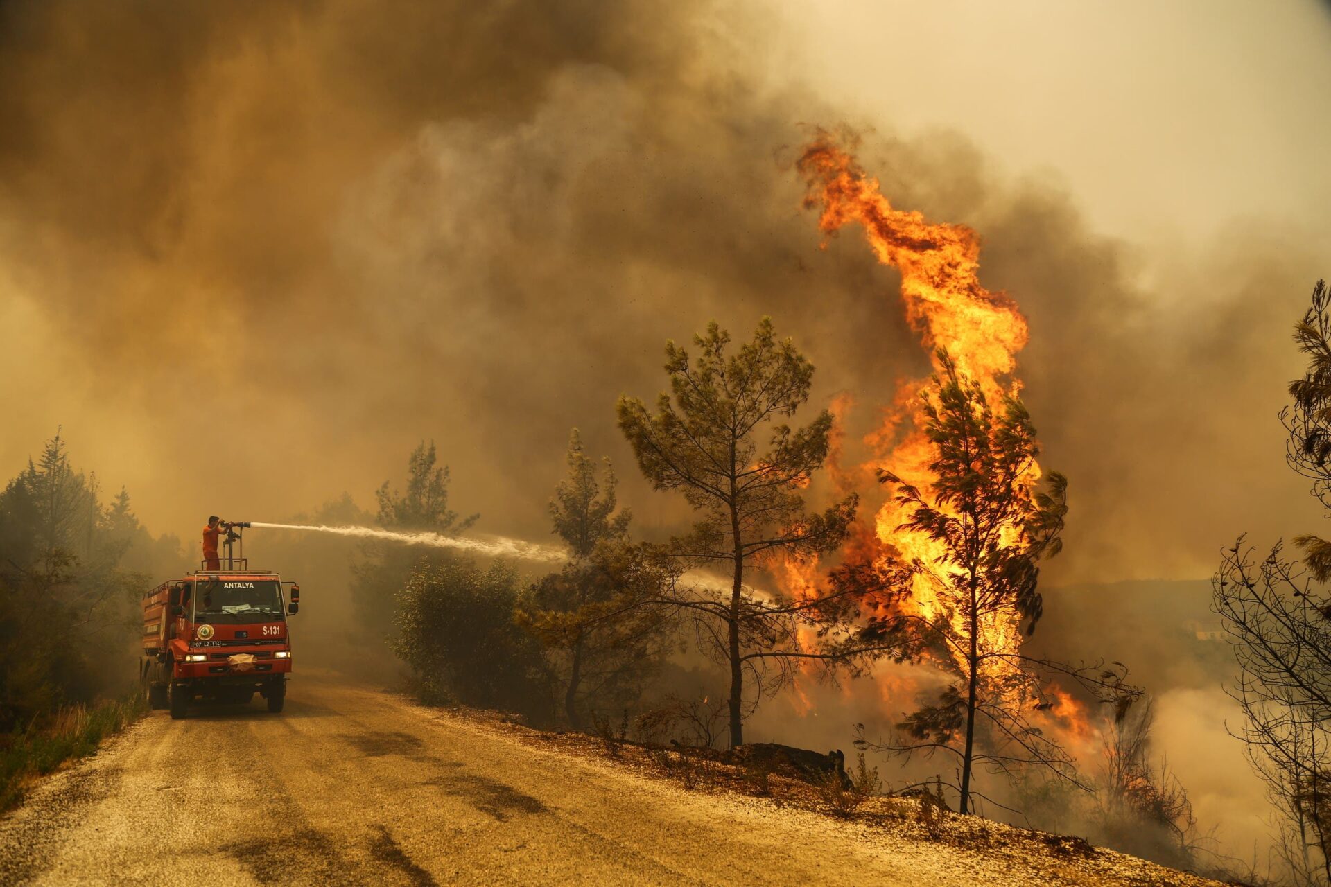 Foto: Kaan Soyturk/Reuters