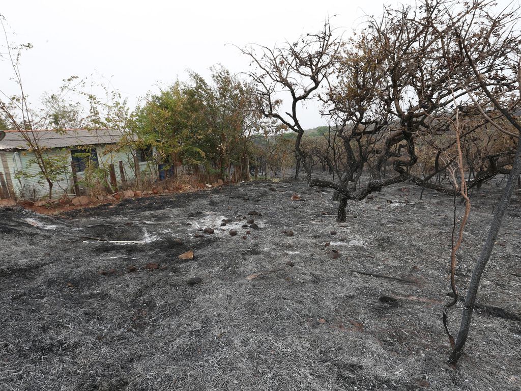 Incêndio destrói cerrado na região do Lago Oeste, no Distrito Federal (Fabio Rodrigues Pozzebom Agência Brasil) 1