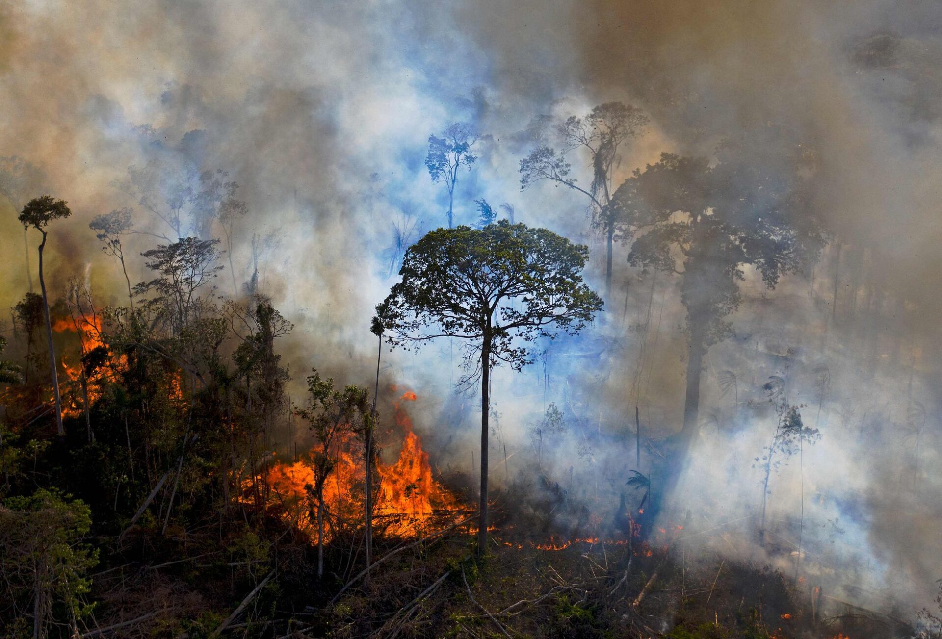 Foto: Carl de Souza/AFP/El País