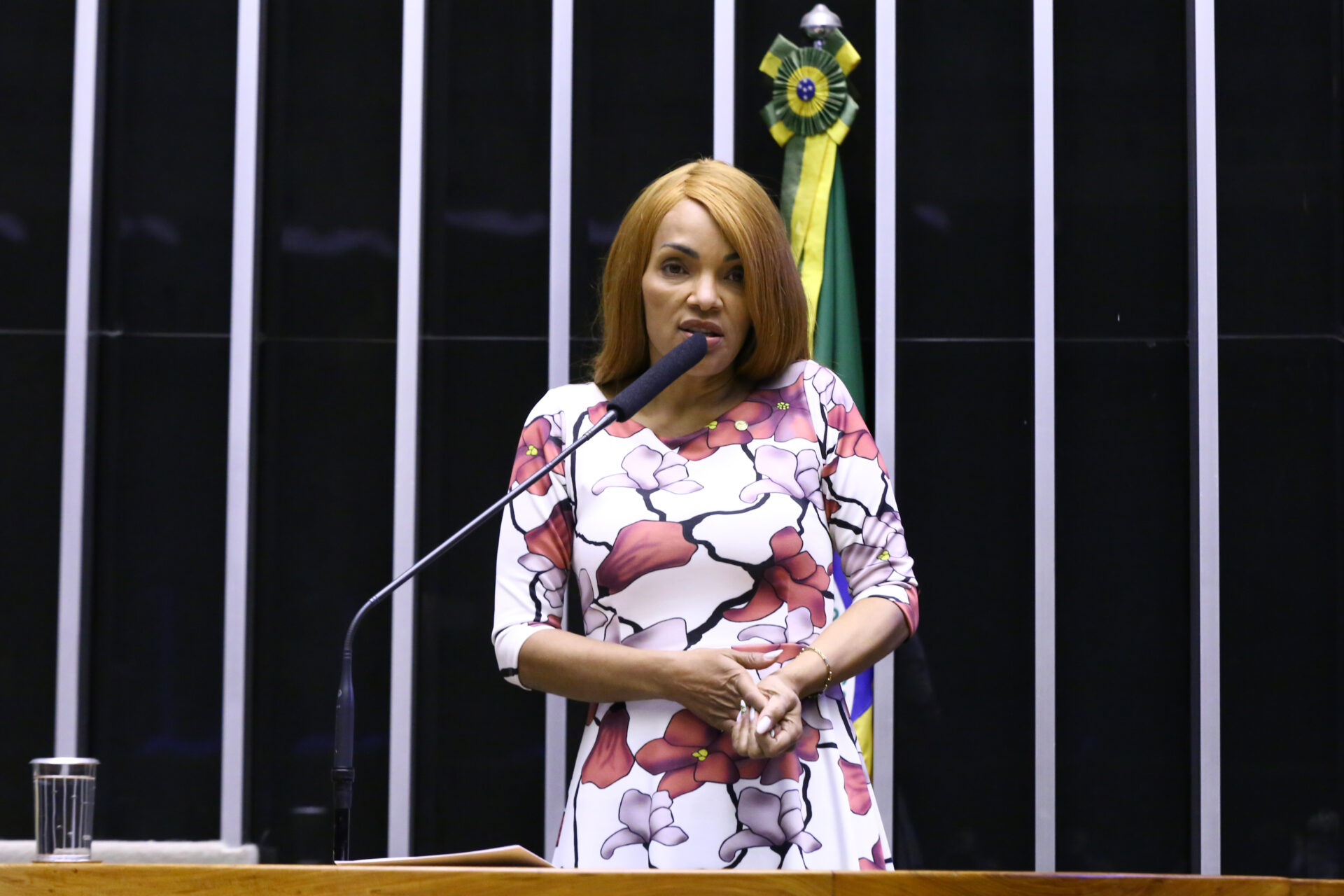 Foto: Cleia Viana/Câmara dos Deputados