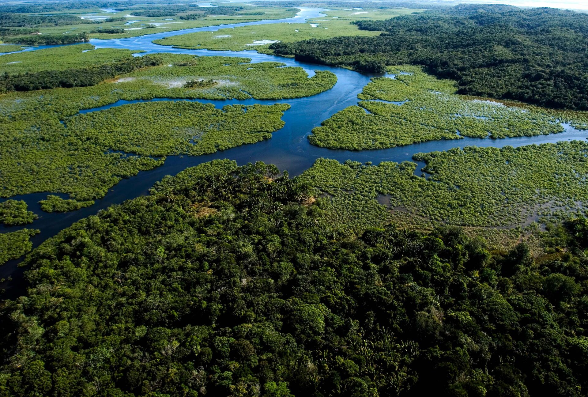 Foto: Unesp