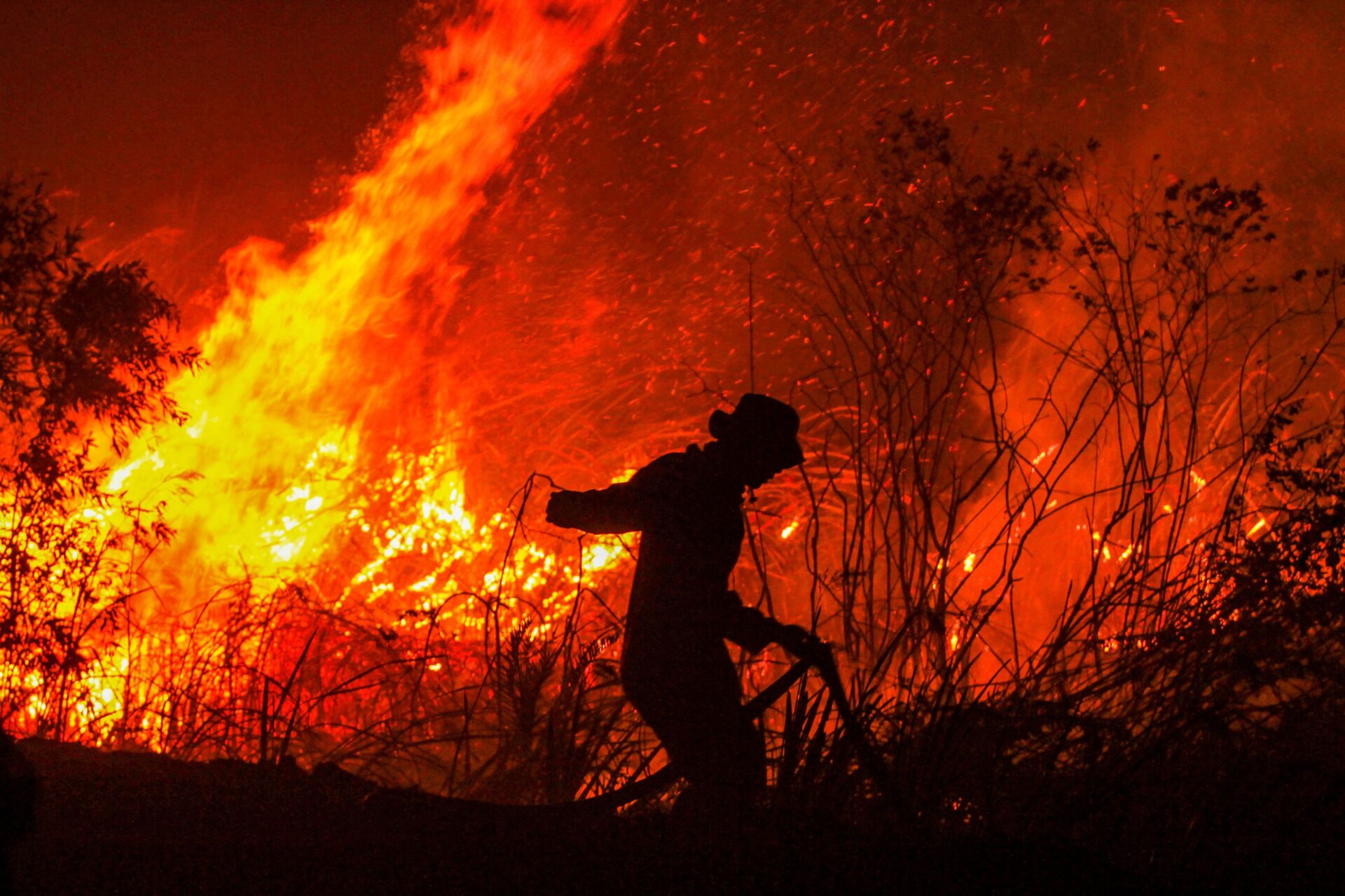 Foto: DW Brasil/AP