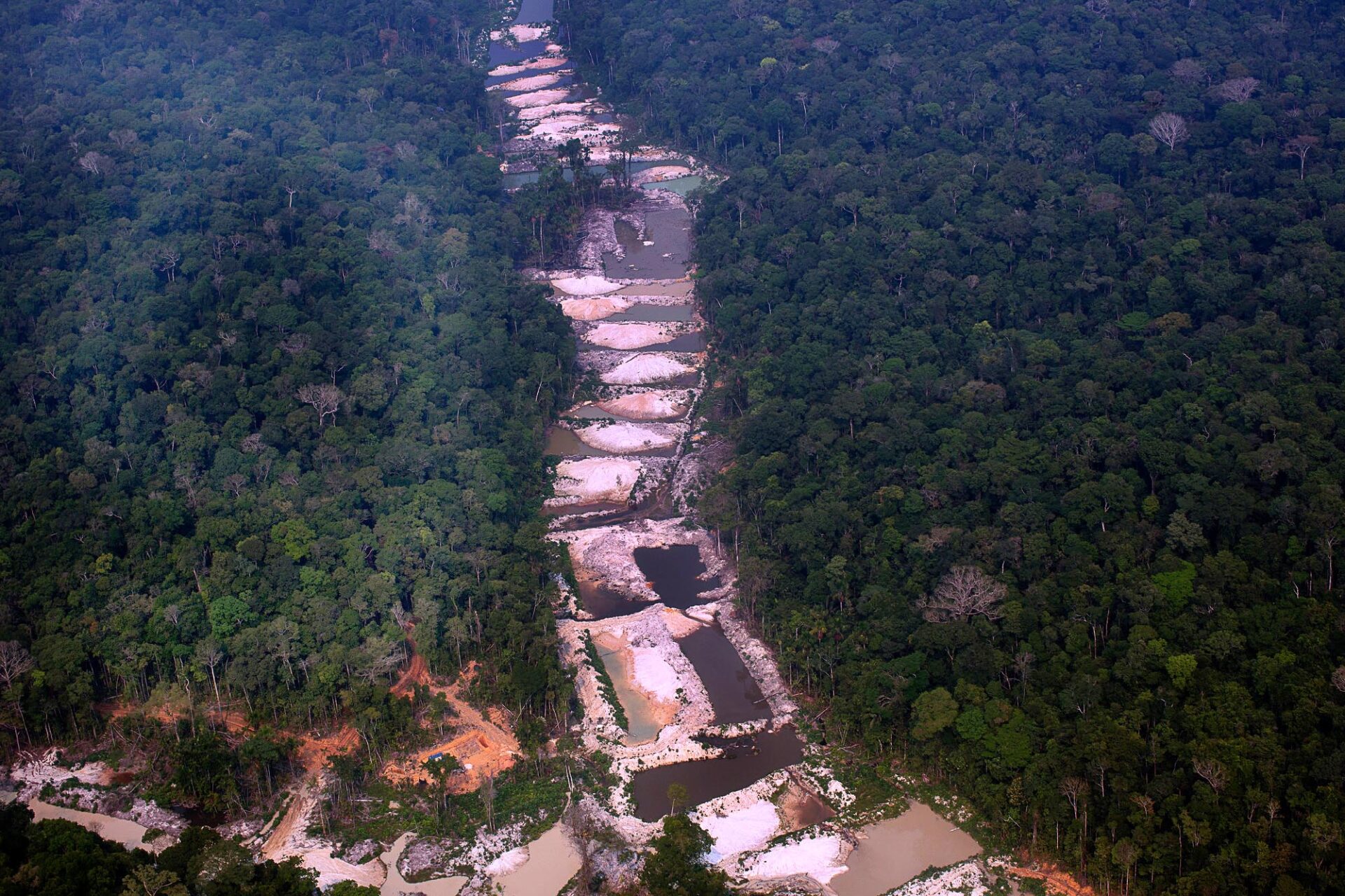 Foto: Marizilda Cruppe/Amazônia Real/