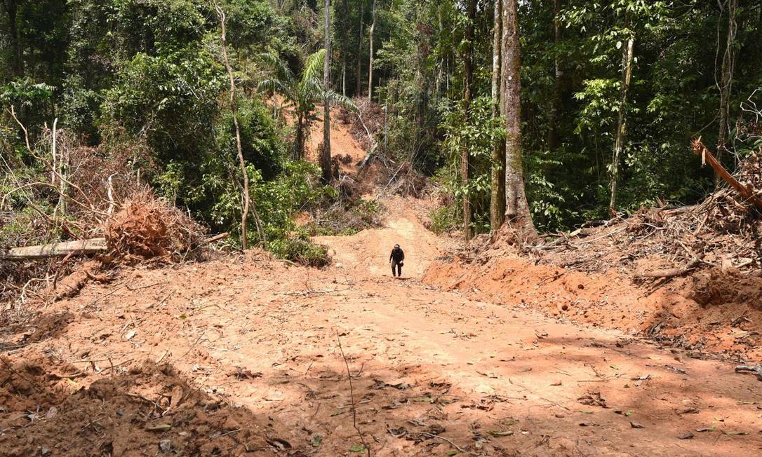 Foto: Evaristo Sá/AFP/O Globo