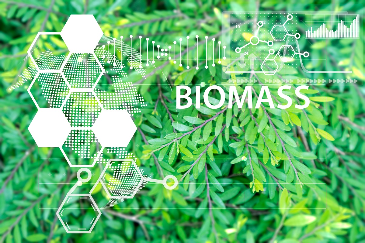 Biomassa | Imagem: reprodução/shutterstock