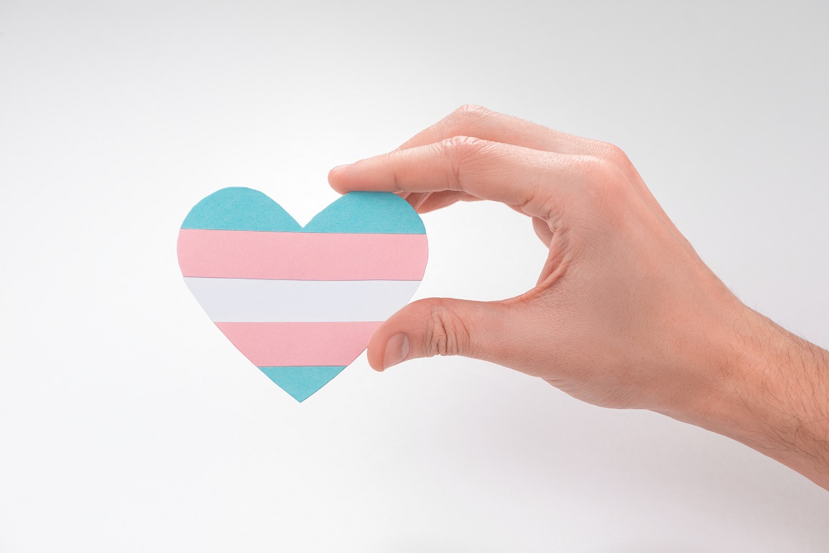 Transgender heart | Imagem: Yuriy Golub/Shutterstock