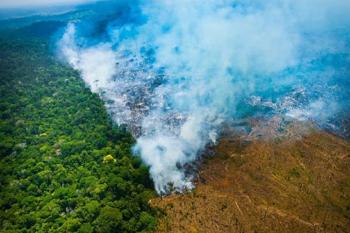Região da Amazônia devastada pelo fogo | Foto: reprodução/Toda matéria
