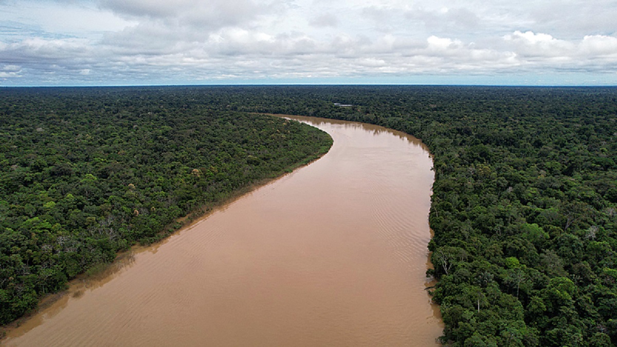 A Noruega suspendeu a ajuda após o descaso do governo Bolsonaro - Cícero Pedrosa Neto/Amazônia Real