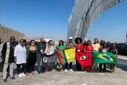 Coordenação Nacional de Articulação das Comunidades Negras Rurais Quilombolas e a Coalizão Negra por Direitos estão na COP-27 - Reprodução