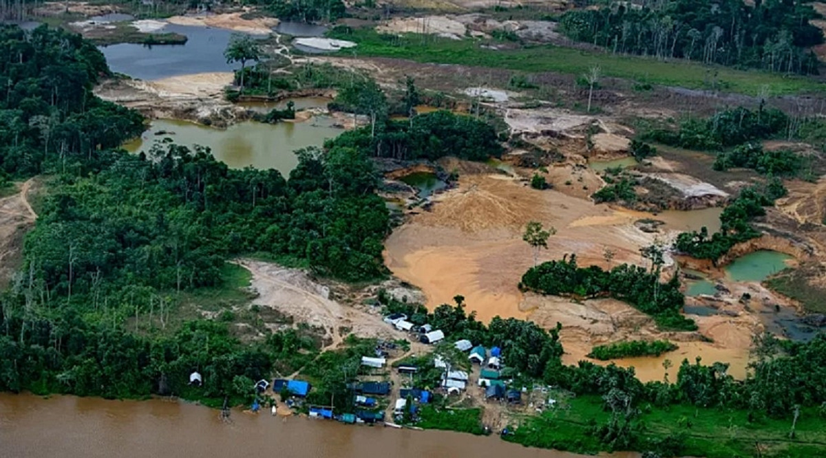 Indícios apontam que a Terra Indígena Yanomami foi atacada de diversas formas pelo garimpo ilegal na região, sem ser incomodado pelo governo de Jair Bolsonaro - Foto: Christian Braga/Greenpeace