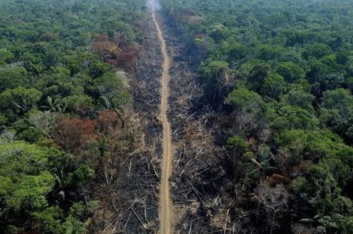 Desmatamento na Amazônia | Foto: AFP